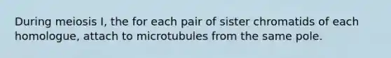 During meiosis I, the for each pair of sister chromatids of each homologue, attach to microtubules from the same pole.