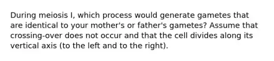 During meiosis I, which process would generate gametes that are identical to your mother's or father's gametes? Assume that crossing-over does not occur and that the cell divides along its vertical axis (to the left and to the right).