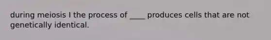 during meiosis I the process of ____ produces cells that are not genetically identical.