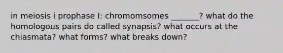 in meiosis i prophase I: chromomsomes _______? what do the homologous pairs do called synapsis? what occurs at the chiasmata? what forms? what breaks down?