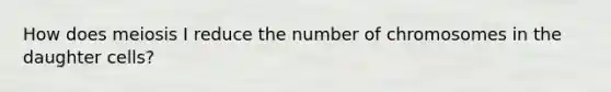 How does meiosis I reduce the number of chromosomes in the daughter cells?