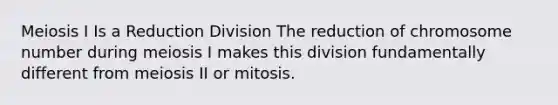 Meiosis I Is a Reduction Division The reduction of chromosome number during meiosis I makes this division fundamentally different from meiosis II or mitosis.