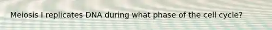 Meiosis I replicates DNA during what phase of the cell cycle?