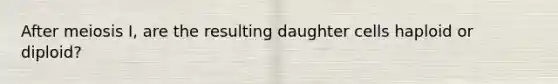 After meiosis I, are the resulting daughter cells haploid or diploid?