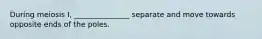 During meiosis I, _______________ separate and move towards opposite ends of the poles.