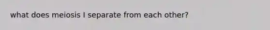 what does meiosis I separate from each other?