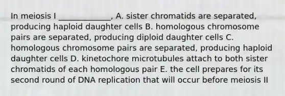 In meiosis I _____________, A. sister chromatids are separated, producing haploid daughter cells B. homologous chromosome pairs are separated, producing diploid daughter cells C. homologous chromosome pairs are separated, producing haploid daughter cells D. kinetochore microtubules attach to both sister chromatids of each homologous pair E. the cell prepares for its second round of <a href='https://www.questionai.com/knowledge/kofV2VQU2J-dna-replication' class='anchor-knowledge'>dna replication</a> that will occur before meiosis II