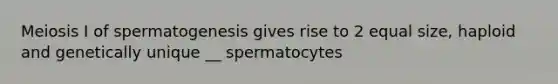 Meiosis I of spermatogenesis gives rise to 2 equal size, haploid and genetically unique __ spermatocytes