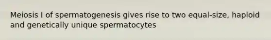 Meiosis I of spermatogenesis gives rise to two equal-size, haploid and genetically unique spermatocytes