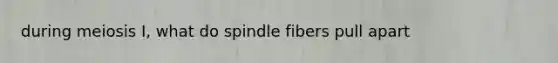 during meiosis I, what do spindle fibers pull apart