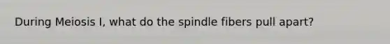 During Meiosis I, what do the spindle fibers pull apart?