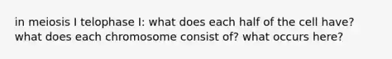 in meiosis I telophase I: what does each half of the cell have? what does each chromosome consist of? what occurs here?