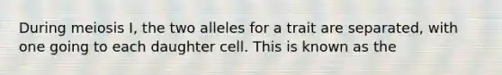 During meiosis I, the two alleles for a trait are separated, with one going to each daughter cell. This is known as the