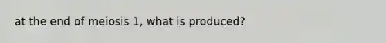 at the end of meiosis 1, what is produced?