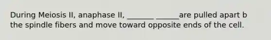 During Meiosis II, anaphase II, _______ ______are pulled apart b the spindle fibers and move toward opposite ends of the cell.