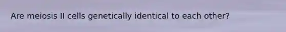 Are meiosis II cells genetically identical to each other?