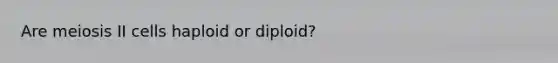 Are meiosis II cells haploid or diploid?