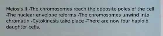 Meiosis II -The chromosomes reach the opposite poles of the cell -The nuclear envelope reforms -The chromosomes unwind into chromatin -Cytokinesis take place -There are now four haploid daughter cells.