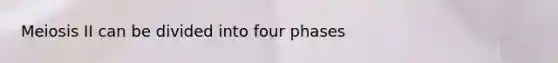 Meiosis II can be divided into four phases