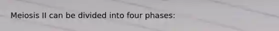 Meiosis II can be divided into four phases: