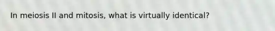 In meiosis II and mitosis, what is virtually identical?