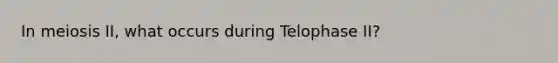 In meiosis II, what occurs during Telophase II?