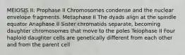 MEIOSIS II: Prophase II Chromosomes condense and the nuclear envelope fragments. Metaphase II The dyads align at the spindle equator Anaphase II Sister chromatids separate, becoming daughter chromosomes that move to the poles Telophase II Four haploid daughter cells are genetically different from each other and from the parent cell