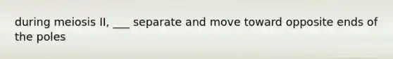 during meiosis II, ___ separate and move toward opposite ends of the poles