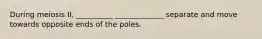 During meiosis II, __________ _____________ separate and move towards opposite ends of the poles.