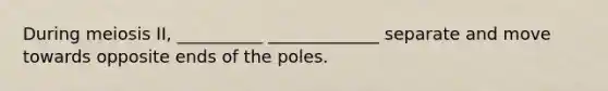 During meiosis II, __________ _____________ separate and move towards opposite ends of the poles.