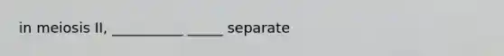 in meiosis II, __________ _____ separate