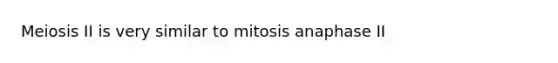 Meiosis II is very similar to mitosis anaphase II