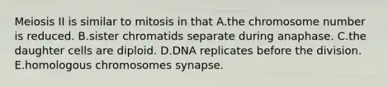 Meiosis II is similar to mitosis in that A.the chromosome number is reduced. B.sister chromatids separate during anaphase. C.the daughter cells are diploid. D.DNA replicates before the division. E.homologous chromosomes synapse.