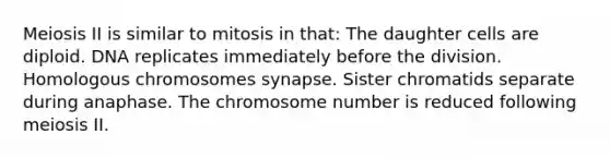 Meiosis II is similar to mitosis in that: The daughter cells are diploid. DNA replicates immediately before the division. Homologous chromosomes synapse. Sister chromatids separate during anaphase. The chromosome number is reduced following meiosis II.