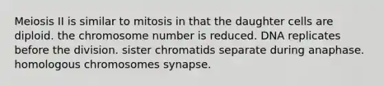 Meiosis II is similar to mitosis in that the daughter cells are diploid. the chromosome number is reduced. DNA replicates before the division. sister chromatids separate during anaphase. homologous chromosomes synapse.