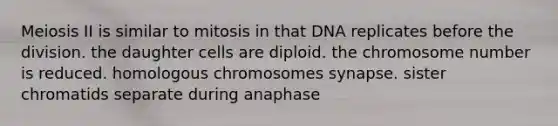 Meiosis II is similar to mitosis in that DNA replicates before the division. the daughter cells are diploid. the chromosome number is reduced. homologous chromosomes synapse. sister chromatids separate during anaphase