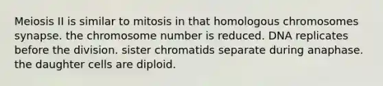 Meiosis II is similar to mitosis in that homologous chromosomes synapse. the chromosome number is reduced. DNA replicates before the division. sister chromatids separate during anaphase. the daughter cells are diploid.