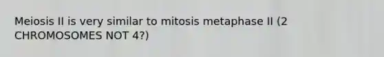 Meiosis II is very similar to mitosis metaphase II (2 CHROMOSOMES NOT 4?)