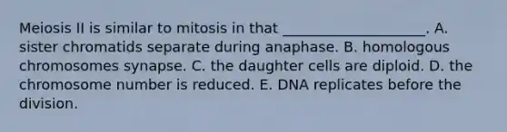 Meiosis II is similar to mitosis in that ____________________. A. sister chromatids separate during anaphase. B. homologous chromosomes synapse. C. the daughter cells are diploid. D. the chromosome number is reduced. E. DNA replicates before the division.