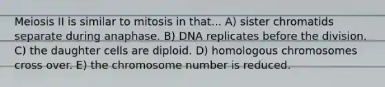 Meiosis II is similar to mitosis in that... A) sister chromatids separate during anaphase. B) DNA replicates before the division. C) the daughter cells are diploid. D) homologous chromosomes cross over. E) the chromosome number is reduced.