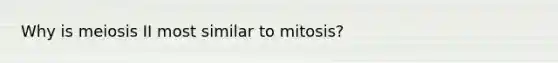 Why is meiosis II most similar to mitosis?