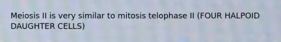 Meiosis II is very similar to mitosis telophase II (FOUR HALPOID DAUGHTER CELLS)