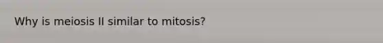 Why is meiosis II similar to mitosis?