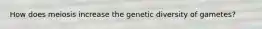 How does meiosis increase the genetic diversity of gametes?