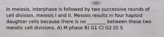 In meiosis, interphase is followed by two successive rounds of cell division, meiosis I and II. Meiosis results in four haploid daughter cells because there is no ________ between these two meiotic cell divisions. A) M phase B) G1 C) G2 D) S