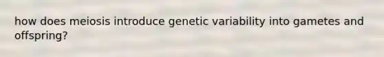 how does meiosis introduce genetic variability into gametes and offspring?