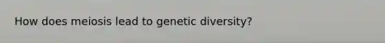 How does meiosis lead to genetic diversity?