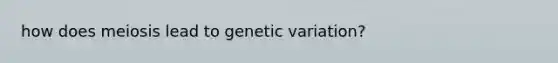 how does meiosis lead to genetic variation?