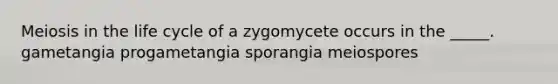 Meiosis in the life cycle of a zygomycete occurs in the _____. gametangia progametangia sporangia meiospores