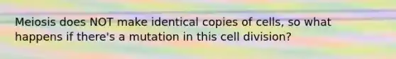 Meiosis does NOT make identical copies of cells, so what happens if there's a mutation in this cell division?